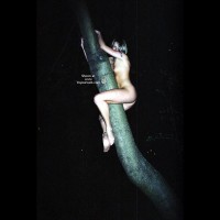 Girl On A Tree