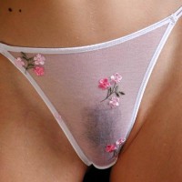 Closeup Of Panty Area - Thong