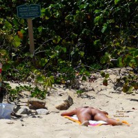 Pic #7 St Barth