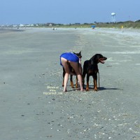 Pic #2 Beach Voyeur:&nbsp;Beach Comber