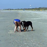 Pic #3 Beach Voyeur:&nbsp;Beach Comber