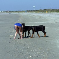 Pic #4 Beach Voyeur:&nbsp;Beach Comber