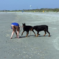 Pic #5 Beach Voyeur:&nbsp;Beach Comber