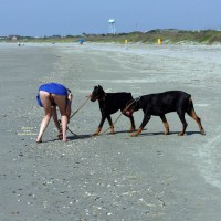 Pic #6 Beach Voyeur:&nbsp;Beach Comber