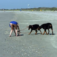 Pic #7 Beach Voyeur:&nbsp;Beach Comber
