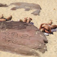 Pic #3 Beach Voyeur:&nbsp;Aussie Birds On The Beach