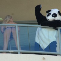 Pic #6 Event Voyeur:&nbsp;Gc300 2009 1