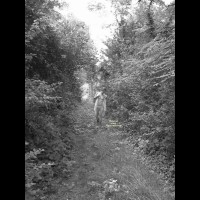 Pic #7 Nude Wife:&nbsp;Jardin D'eden