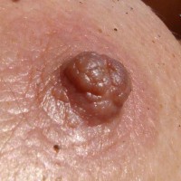 Pic #4 Nude Wife Nice Tits And Lips