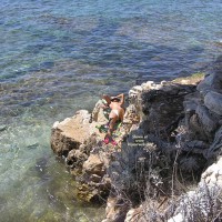 Pic #2 Beach Voyeur:&nbsp;Ile Ste Marguerite
