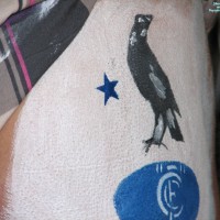 Pic #3 Bottomless Amateur Aussie Footy Fan