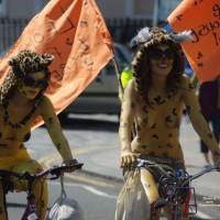 Pic #3 Event Voyeur:&nbsp;Nbr - Bike Week