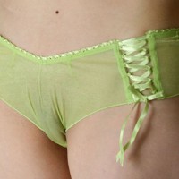 Pic #3 Topless Wife Sheer Green Dream