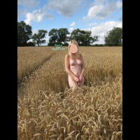 Pic #10 Nude Wife:&nbsp;It's Been A Fun Year... So Far!