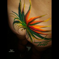 Pic #4 Event Voyeur:&nbsp;Fantasy Fest 2010