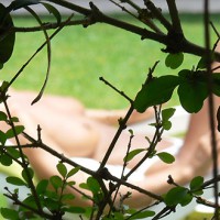 Pic #3 Street Voyeur:&nbsp;My New Neighbor