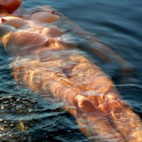 Pic #3 Nude Wife:&nbsp;Summer Swim