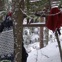 Pic #3 Nude Amateur:&nbsp;*SC Walk In The Wild