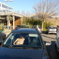 Pic #7 Nude Wife:&nbsp;Christmas Land (Part One)