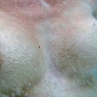 Pic #2 In The Jacuzzi