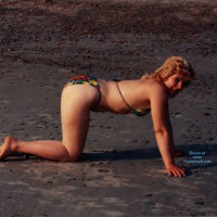 Pic #4 Frolicking In The Sun