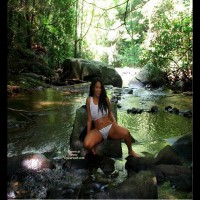 Pic #2 Getting Wood In The Woods