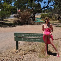 Pic #1 It's Summer Down Under!