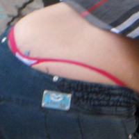 Pic #3 What Is This