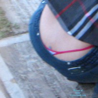 Pic #4 What Is This