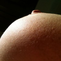 Pic #2 My Assets