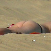 Pic #8 Beach Contry Nr 12