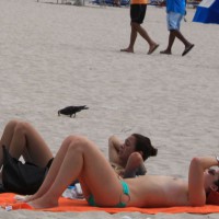 Pic #5 Miami Beach II
