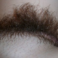 Pic #3 Letting It Grow
