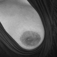 Pic #5 Japot Mixed Boobies