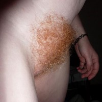 Pic #8 Ginger