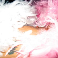 Pic #4 Feathers...