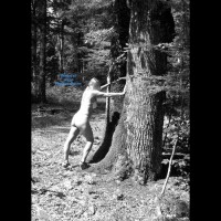 Pic #5 Sexyptitange In Forest