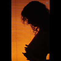 Pic #1 Shadows And Blinds