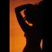 Pic #3 Shadows And Blinds