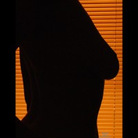 Pic #4 Shadows And Blinds