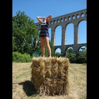 Pic #1 Moonshine In Provence