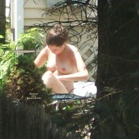 Pic #5 French Neighbor