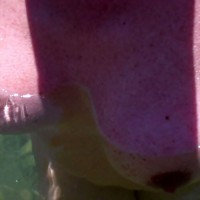 Pic #5 Another Day At Lake