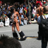 Pic #2 More Van Pride