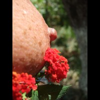 Pic #7 Freckles... A Summer Mix