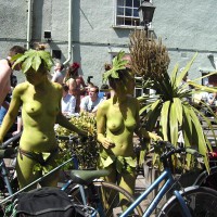 Pic #3 Wnbr 2011