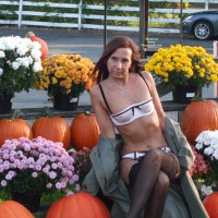 Pic #3 Pumpkin Patch