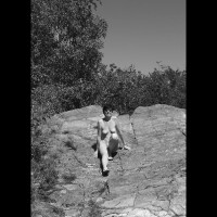 Pic #8 Stroll In The Woods