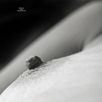 Pic #7 The Return Of BW