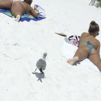 Pic #2 Destin, Fl